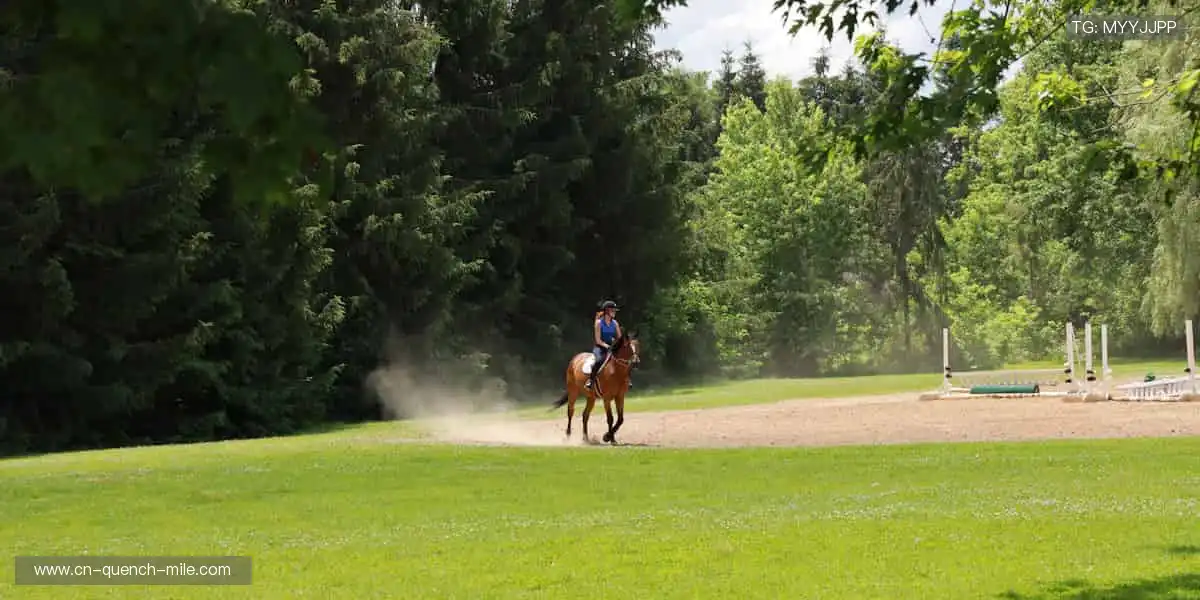 🎁从装备到情怀，一站式收藏热爱！